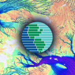 Biodiversity Functions