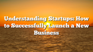 Understanding Startups: How to Successfully Launch a New Business