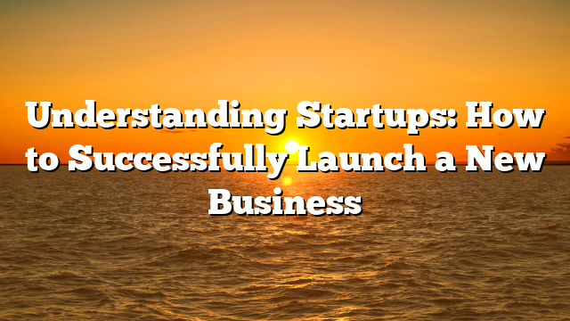 Understanding Startups: How to Successfully Launch a New Business